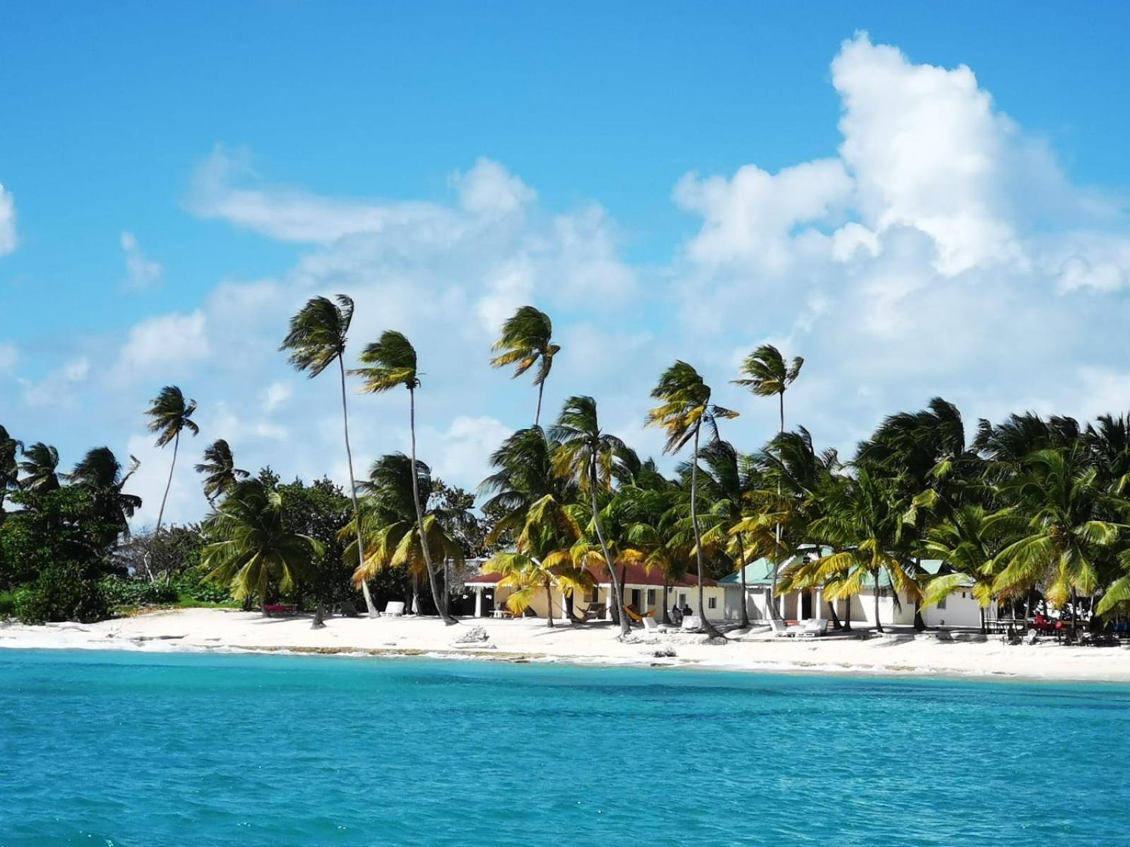 Saona Beach House - Bed And Breakfast Mano Juan Buitenkant foto