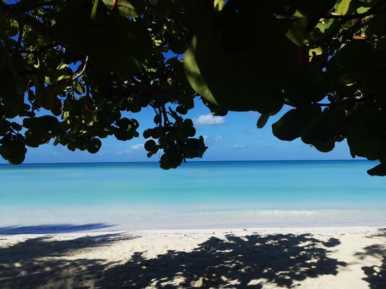Saona Beach House - Bed And Breakfast Mano Juan Buitenkant foto