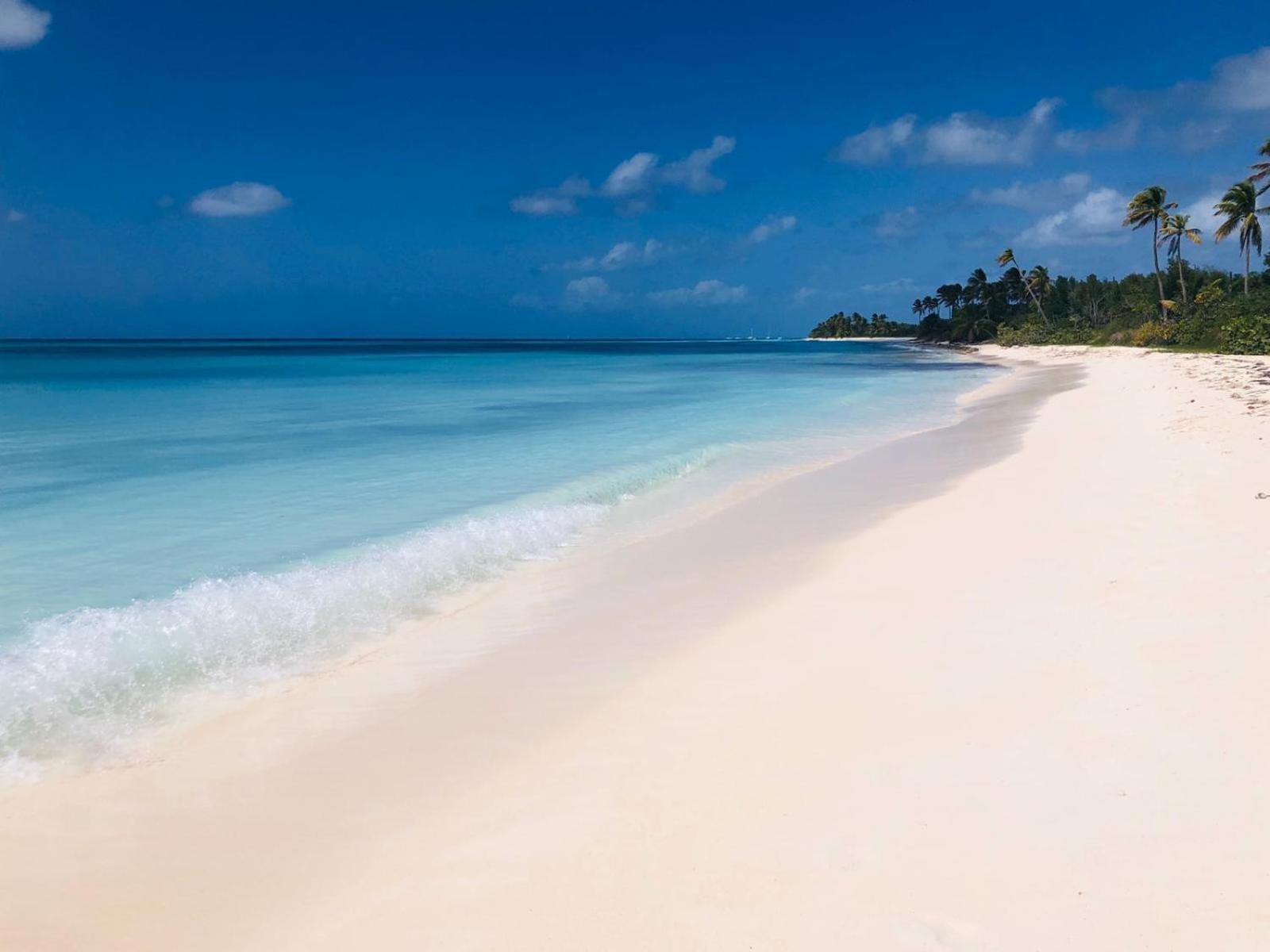 Saona Beach House - Bed And Breakfast Mano Juan Buitenkant foto