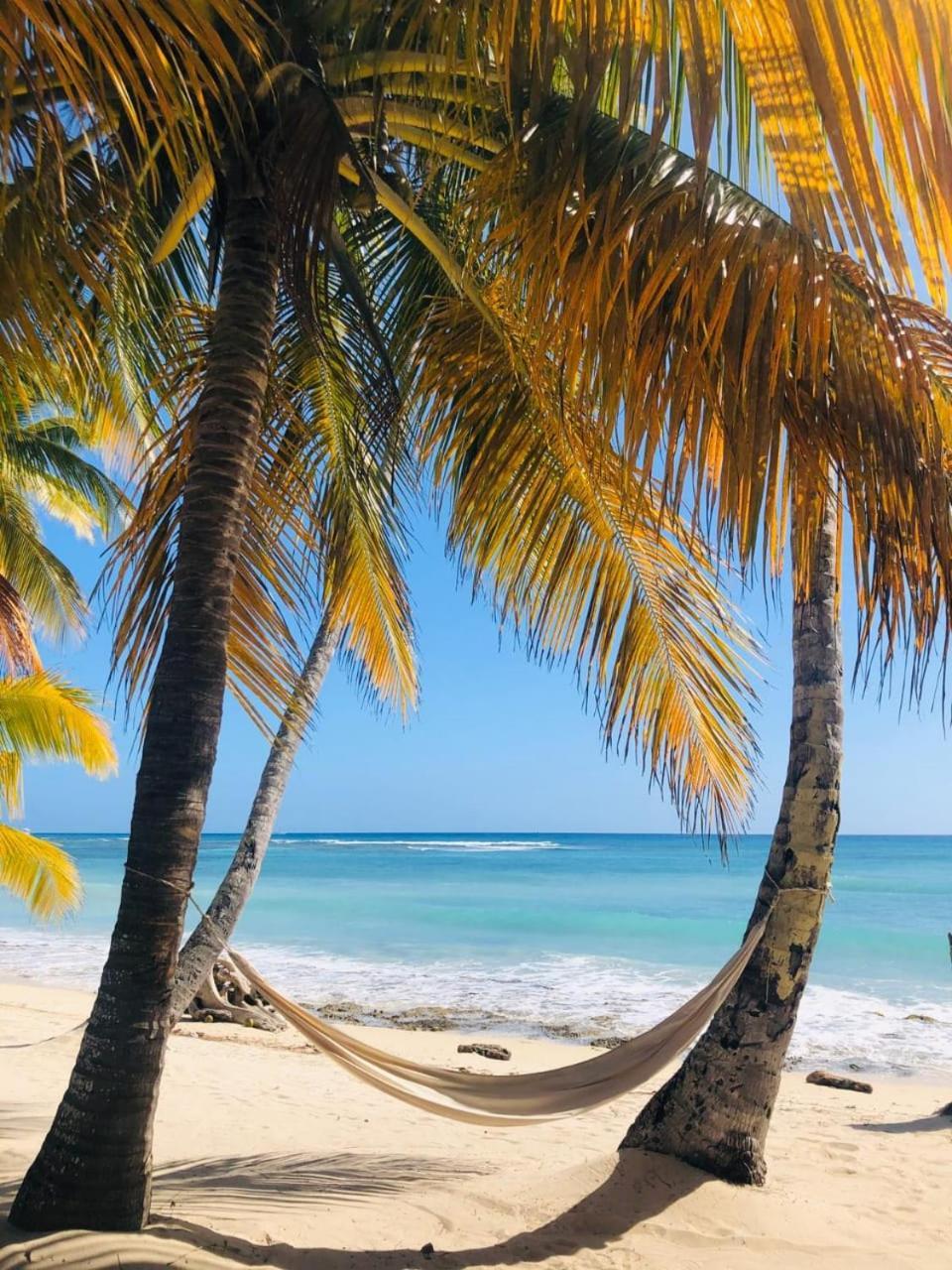 Saona Beach House - Bed And Breakfast Mano Juan Buitenkant foto