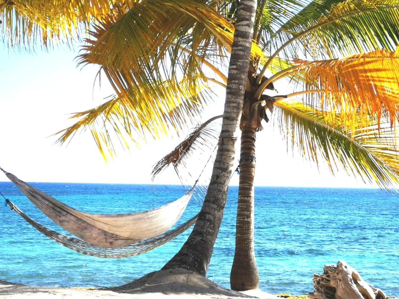 Saona Beach House - Bed And Breakfast Mano Juan Buitenkant foto