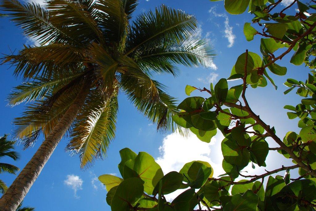 Saona Beach House - Bed And Breakfast Mano Juan Buitenkant foto
