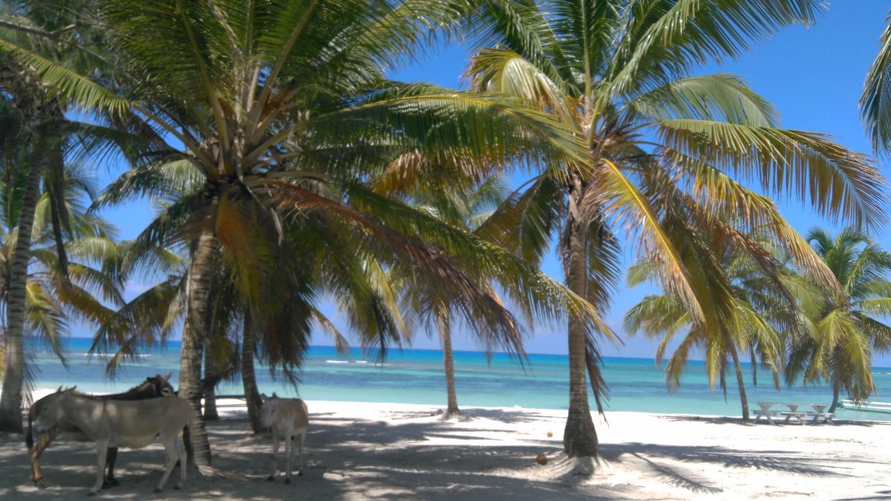 Saona Beach House - Bed And Breakfast Mano Juan Buitenkant foto