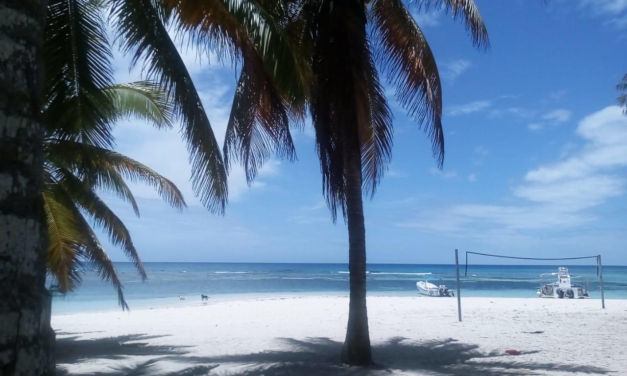 Saona Beach House - Bed And Breakfast Mano Juan Buitenkant foto