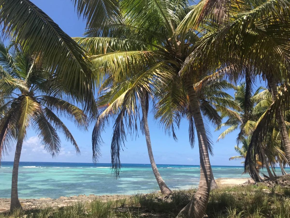 Saona Beach House - Bed And Breakfast Mano Juan Buitenkant foto